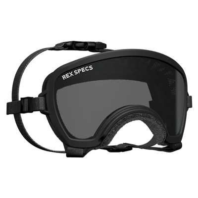 Hundebrille REX Specs V2 Sol & Sikkerhedsbrille SMALL WIDE SORT